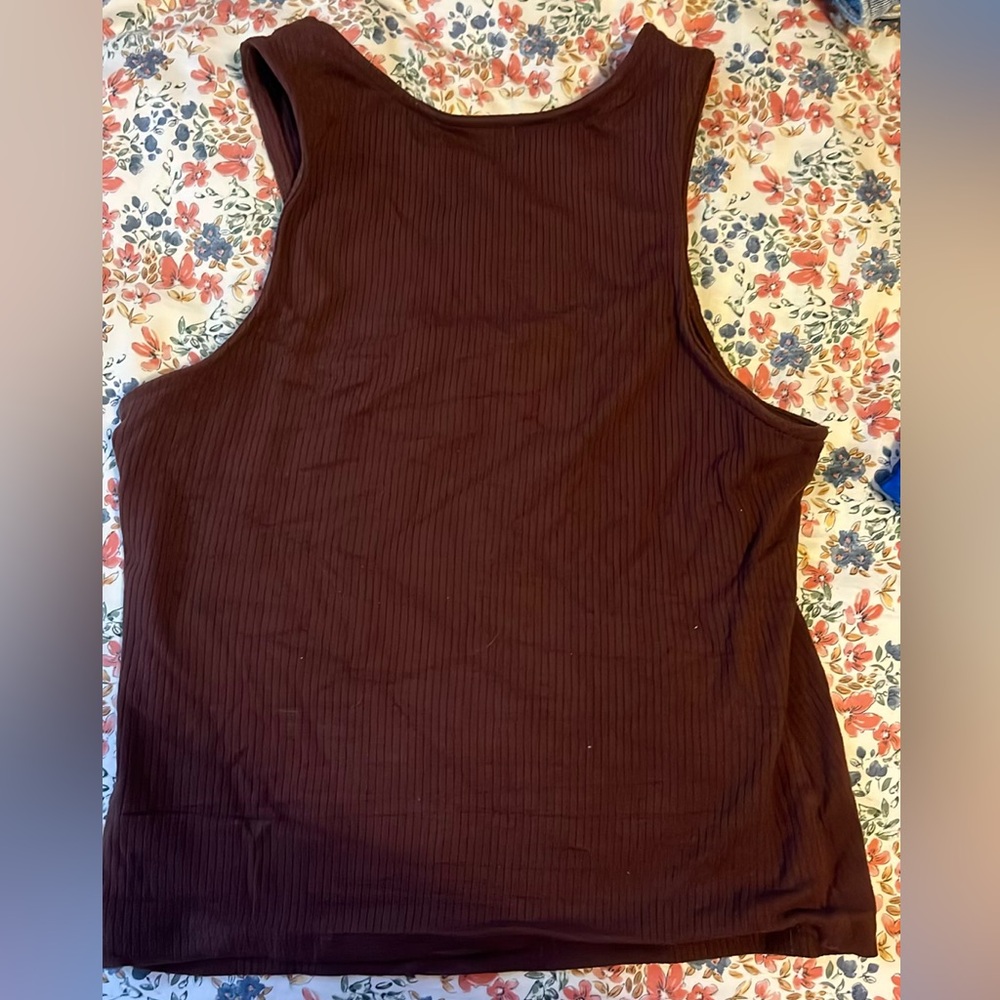 Brown vestique top